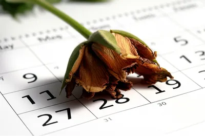 Illustration expiring - Image 1