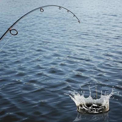 Illustration jerked - Image 1