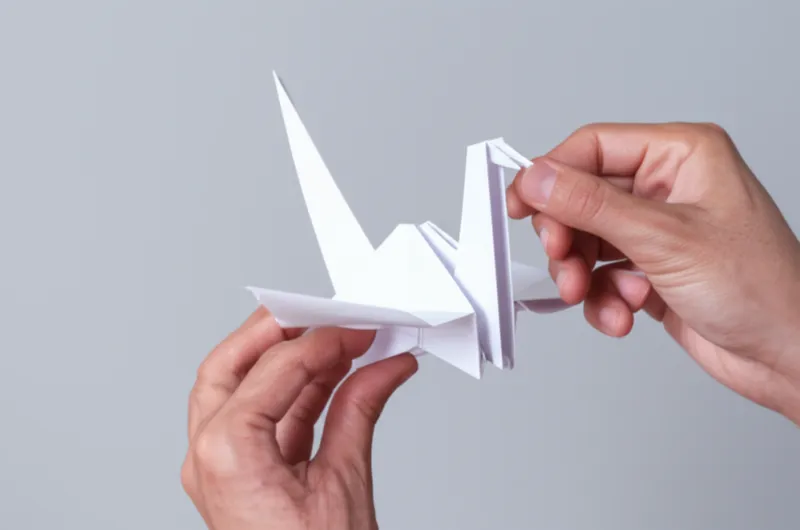 Illustration visuelle du mot « folds » - Pli, pliage