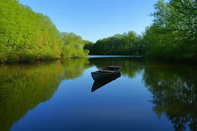 Illustration rests - Image 1