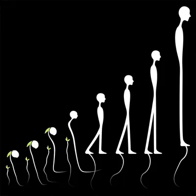 Illustration grow - Image 1