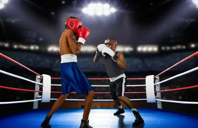 Illustration preliminary - Image 1