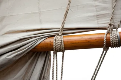 Illustration lash - Image 1