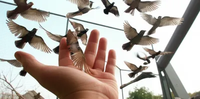 Illustration abandons - Image 1