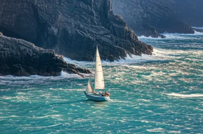 Illustration lee - Image 1