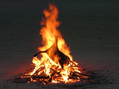 Illustration holocaust - Image 1