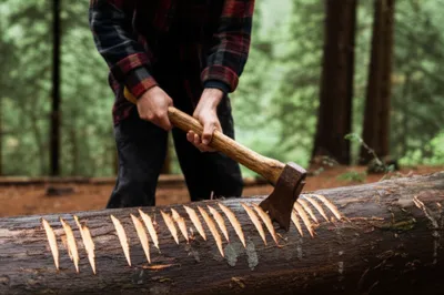 Illustration spotting - Image 1