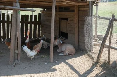 Illustration booth - Image 1