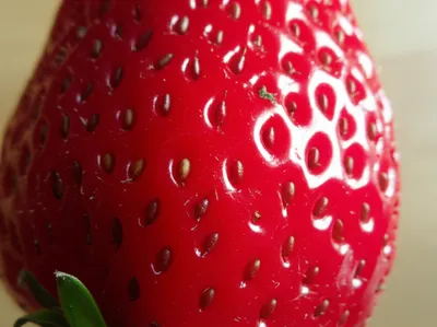 Illustration taint - Image 1