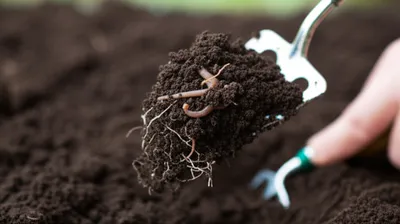 Illustration tilling - Image 1