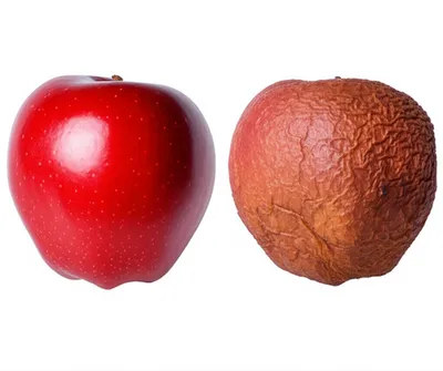 Illustration shrivel