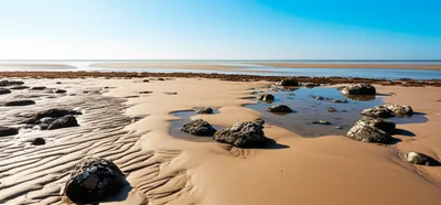 Illustration seashore - Image 1