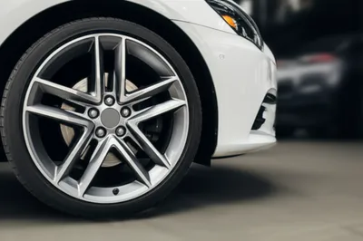 Illustration wing - Image 1