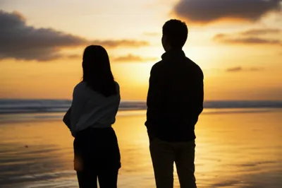 Illustration shags - Image 1