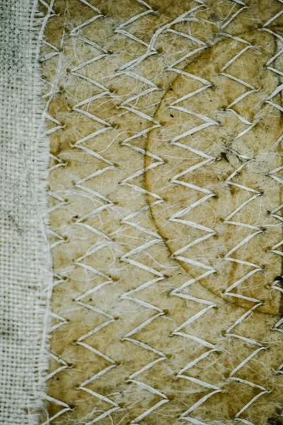 Illustration chevron - Image 2