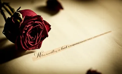 Illustration lapse - Image 1