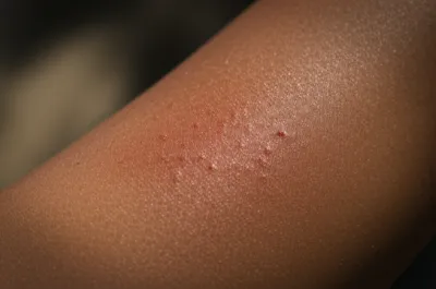 Illustration wail - Image 1