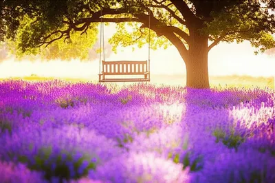 Illustration sleeps - Image 1