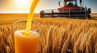 Illustration unfermented - Image 1