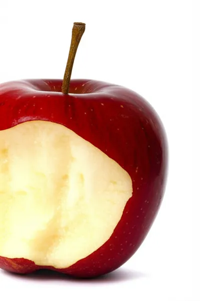 Illustration bitten - Image 2