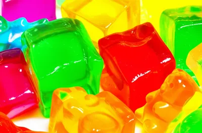 Illustration jellies - Image 1