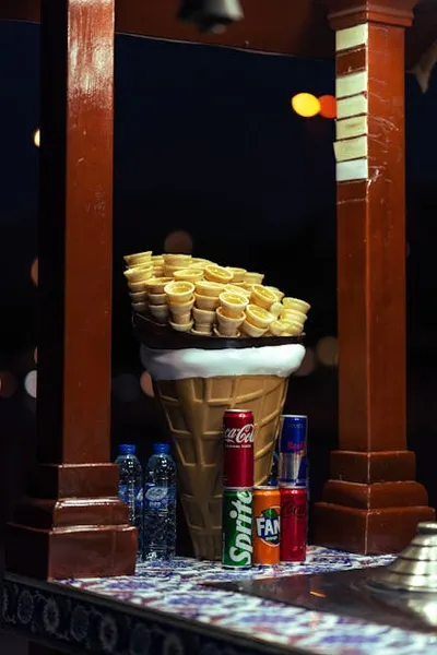 Illustration conus - Image 2