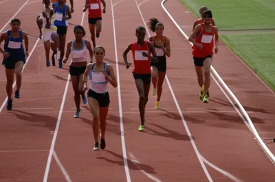 Illustration ms - Image 1