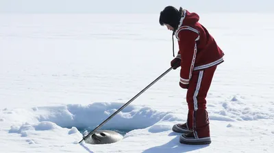 Illustration sealing - Image 1