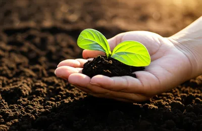 Illustration nourish - Image 1