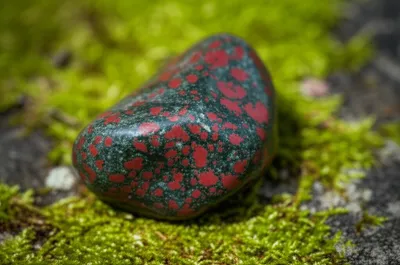 Illustration heliotrope - Image 1