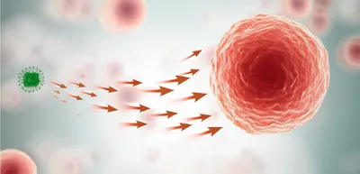 Illustration passage - Image 1