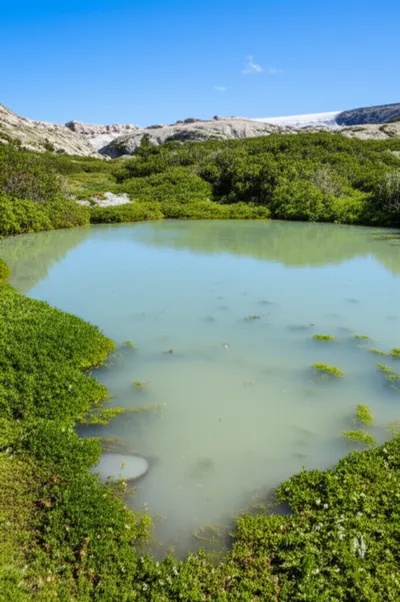 Illustration slough - Image 1