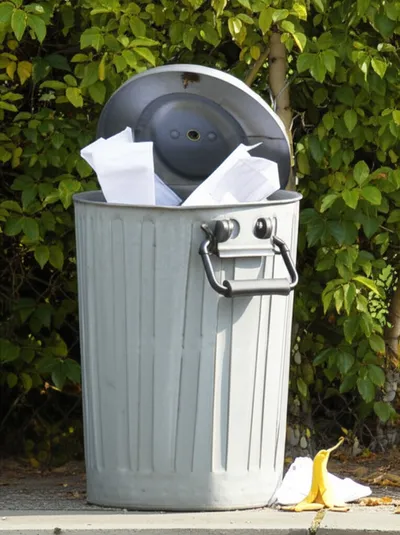 Illustration bin - Image 1