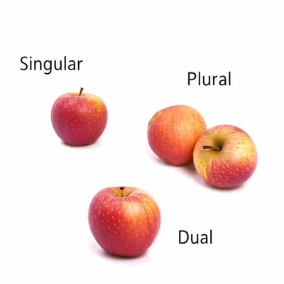 Illustration dual - Image 1