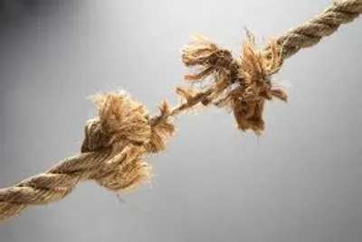 Illustration strain - Image 4