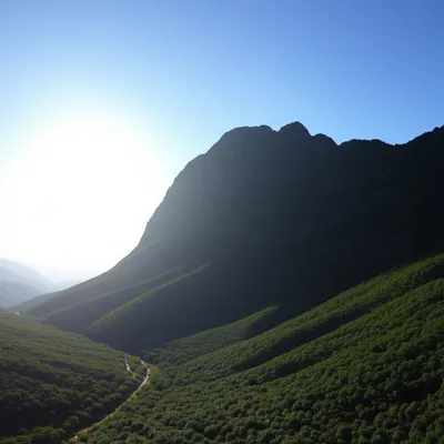 Illustration shadowed - Image 1