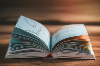 Illustration chapters - Image 1