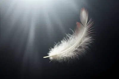 Illustration earthly - Image 1