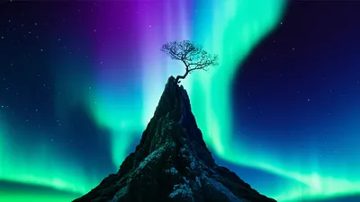 Illustration last - Image 1