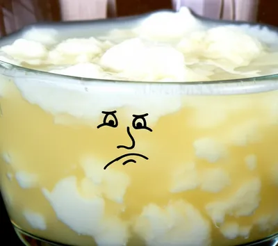 Illustration quails - Image 1