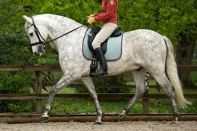 Illustration hack - Image 2