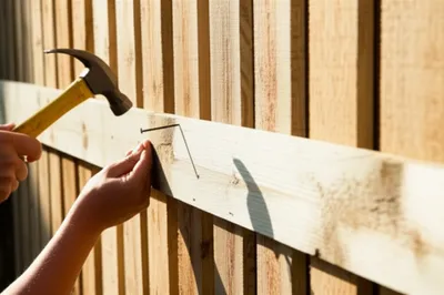 Illustration boarding - Image 1