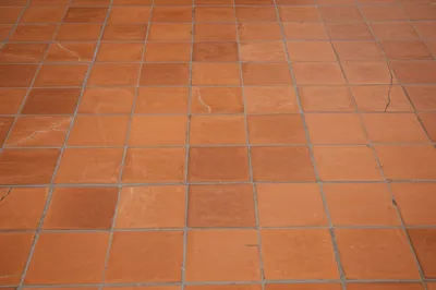 Illustration quarrels - Image 1