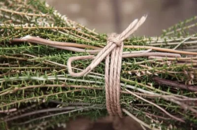 Illustration kids - Image 1