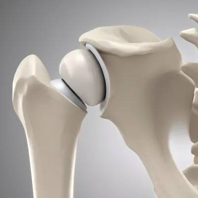 Illustration capitulum - Image 1