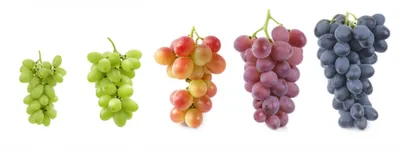 Illustration mature - Image 1