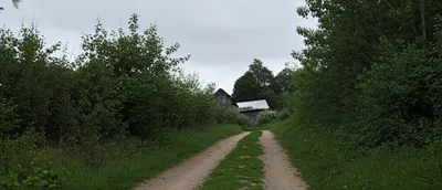 Illustration hinterland - Image 1