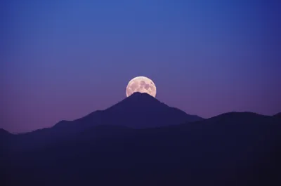 Illustration alignment - Image 1