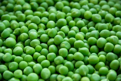 Illustration peas - Image 1