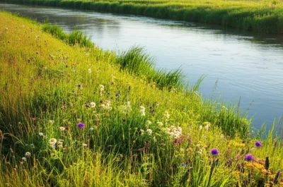 Illustration ing - Image 1